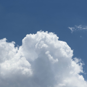 玖辛奈强❌乳喷自慰爽
